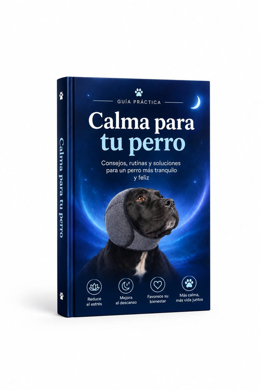 Guia volver a la calma